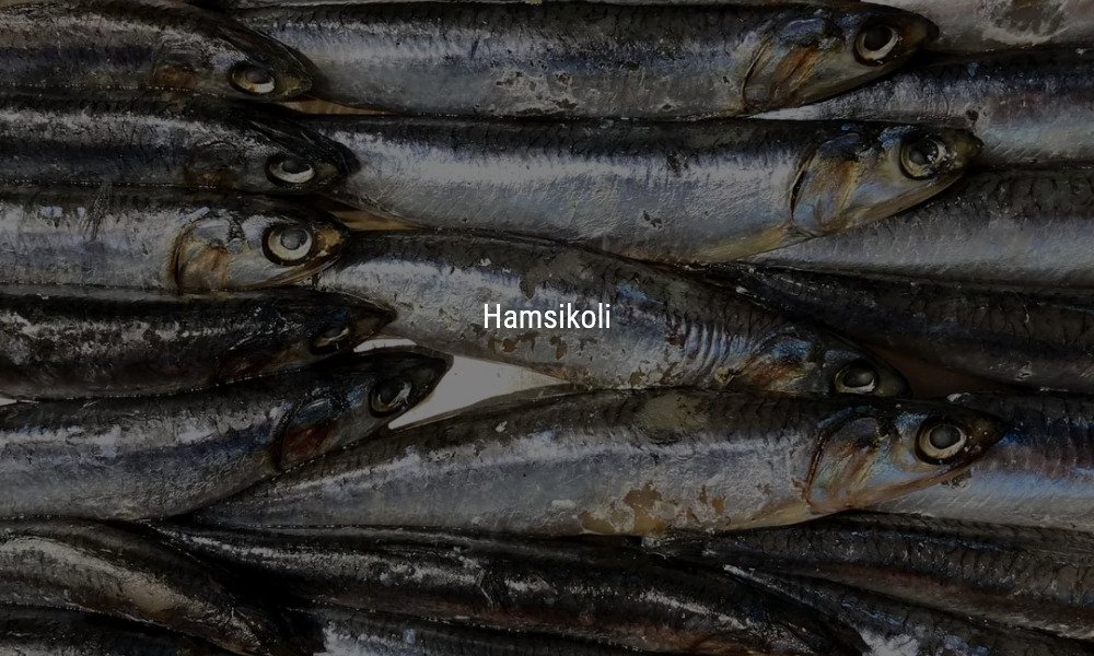 HAMSİKOLİ Tarifi